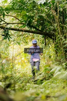 Runner Photo 2079112