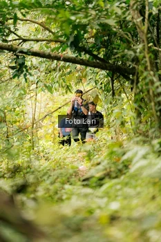 Runner Photo 2079202