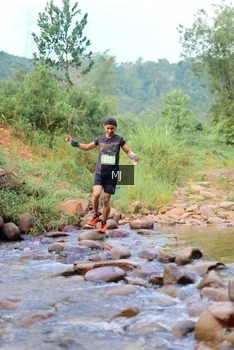 Runner Photo 2079355