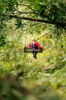 Runner Photo 2079376