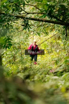 Runner Photo 2079379