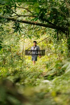 Runner Photo 2079476