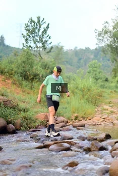 Runner Photo 2079524
