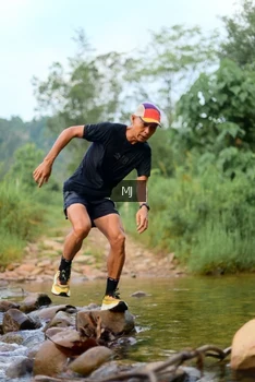 Runner Photo 2079605