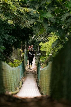 Runner Photo 2079716