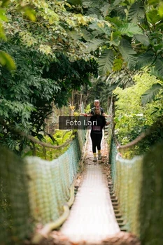 Runner Photo 2079720