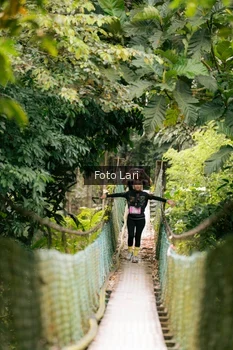 Runner Photo 2079737