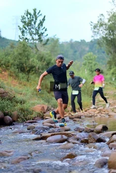 Runner Photo 2079771