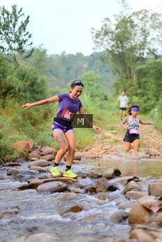 Runner Photo 2080089