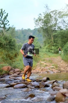 Runner Photo 2080172