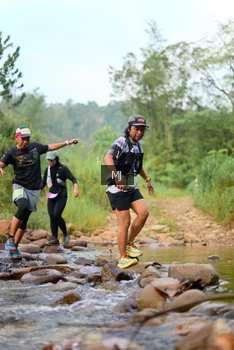 Runner Photo 2080290