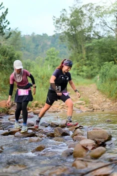 Runner Photo 2080387