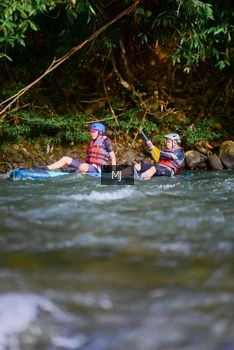 Runner Photo 2081394