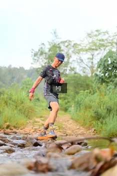 Runner Photo 2081634