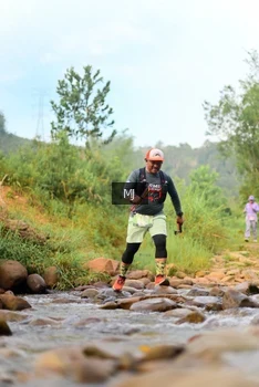 Runner Photo 2082027