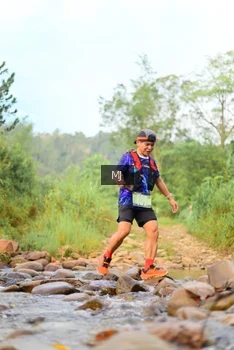 Runner Photo 2082387