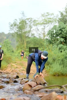 Runner Photo 2082444