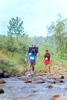 Runner Photo 2082552