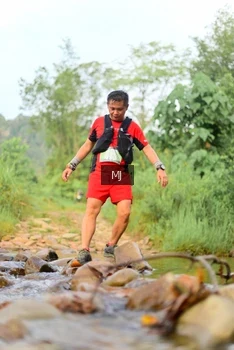 Runner Photo 2082591