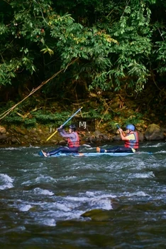 Runner Photo 2082733