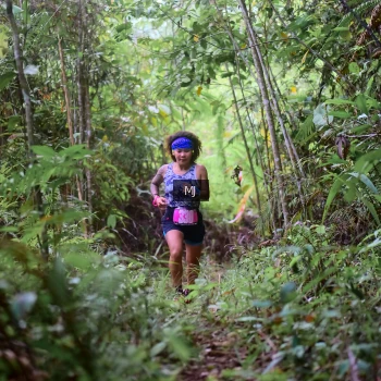 Runner Photo 2083382