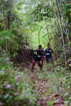 Runner Photo 2083777
