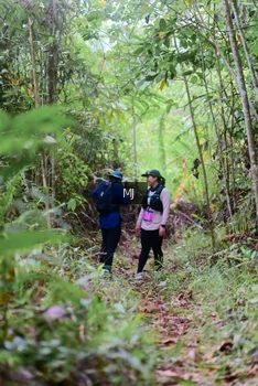 Runner Photo 2084315