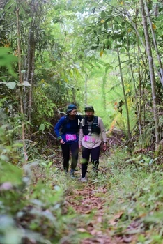 Runner Photo 2084323