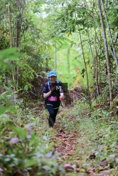 Runner Photo 2084568
