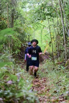Runner Photo 2084784
