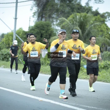 Runner Photo 2091888