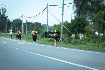 Runner Photo 2095127