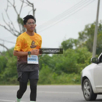 Runner Photo 2113056