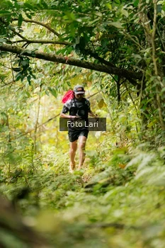 Runner Photo 2114346