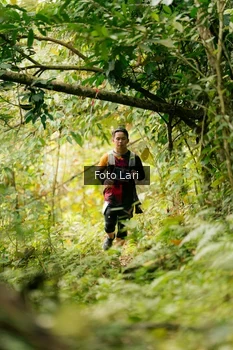 Runner Photo 2114389