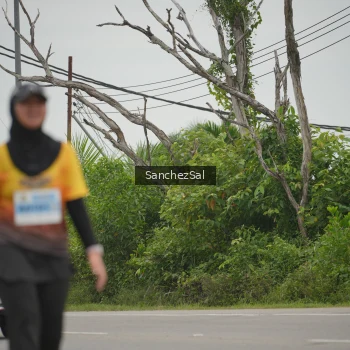 Runner Photo 2117882
