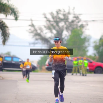 Runner Photo 2139880