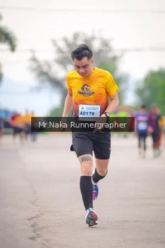 Runner Photo 2139974
