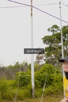 Runner Photo 2140338