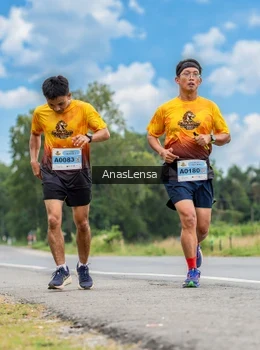 Runner Photo 2152050