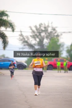 Runner Photo 2154425