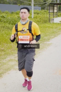 Runner Photo 2178667