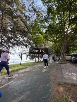 Runner Photo 2205217