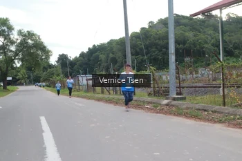 Runner Photo 2226851