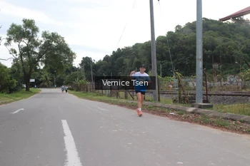 Runner Photo 2226975
