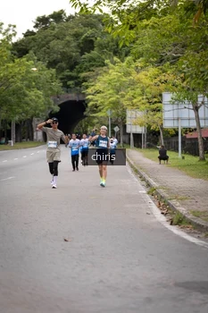 Runner Photo 2228941