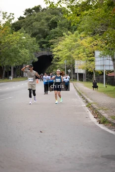 Runner Photo 2228944