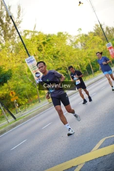 Runner Photo 2229576
