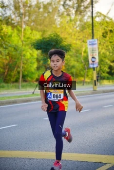 Runner Photo 2230190