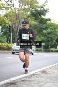 Runner Photo 2246850